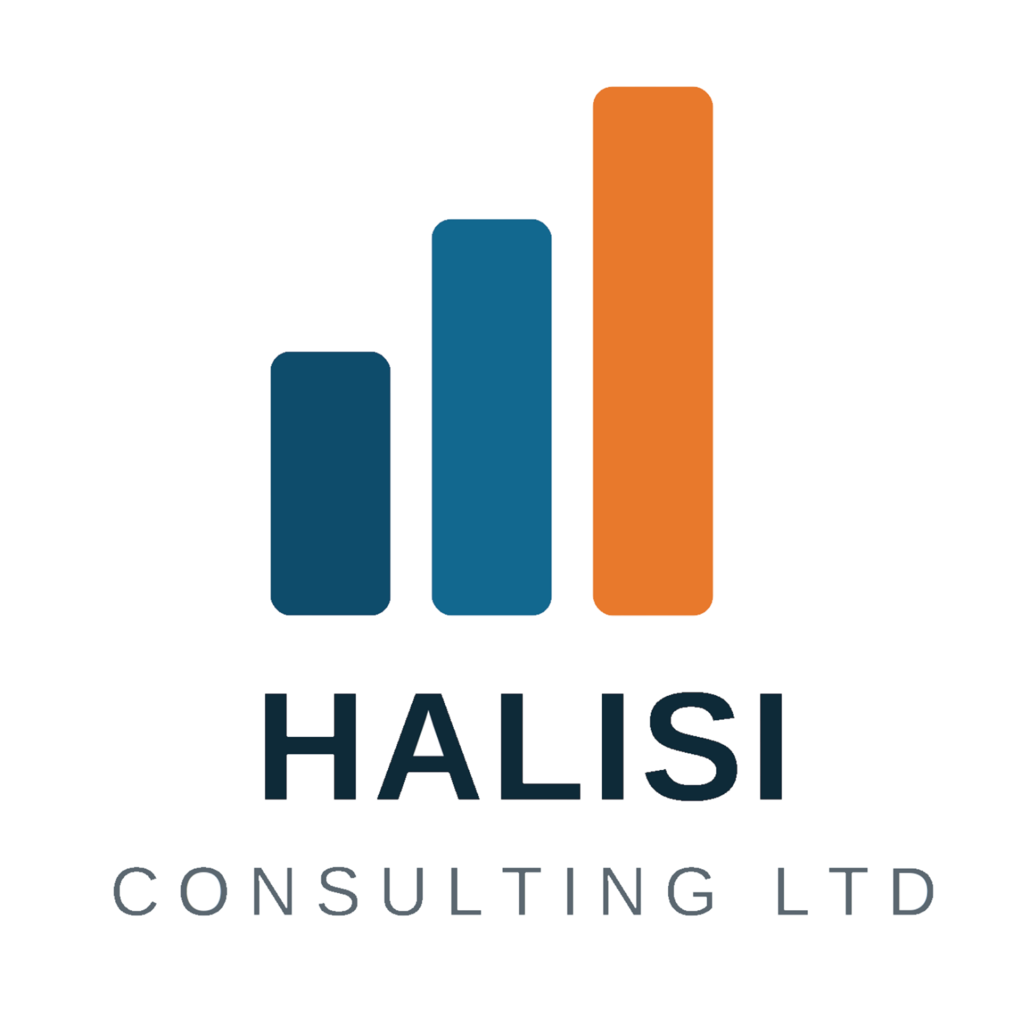 Halisi Consulting